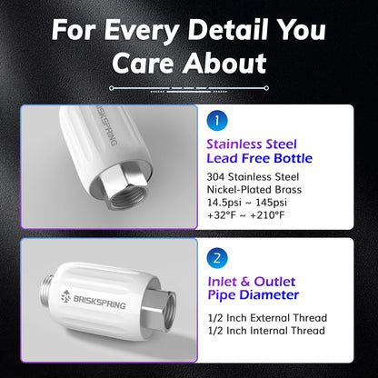 BriskSpring Salt free Terminal Water descaler Physical Scale Inhibitor G1/2" Connector Anti- Limescale Water Heater Softener